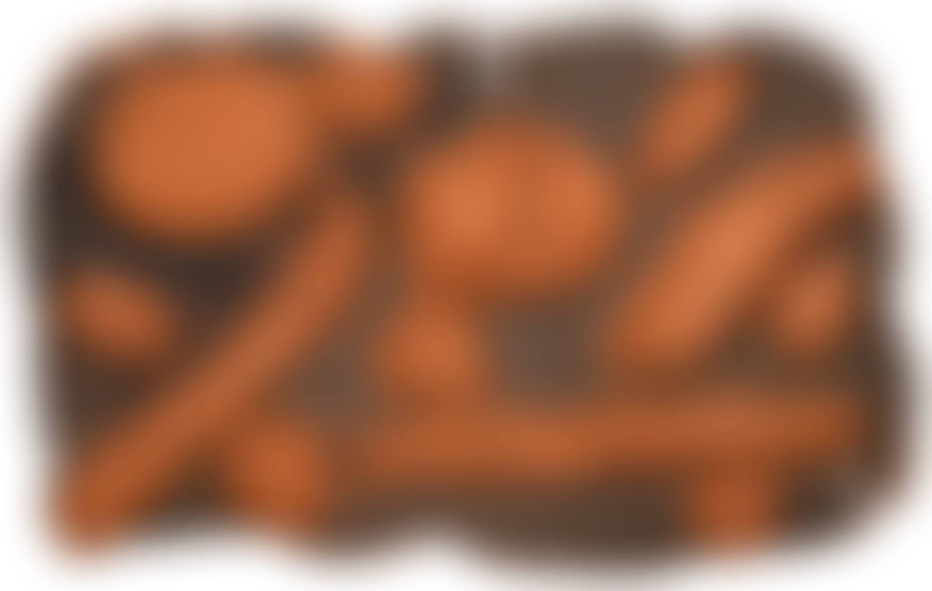 PANS I LLONGUETS (preview)