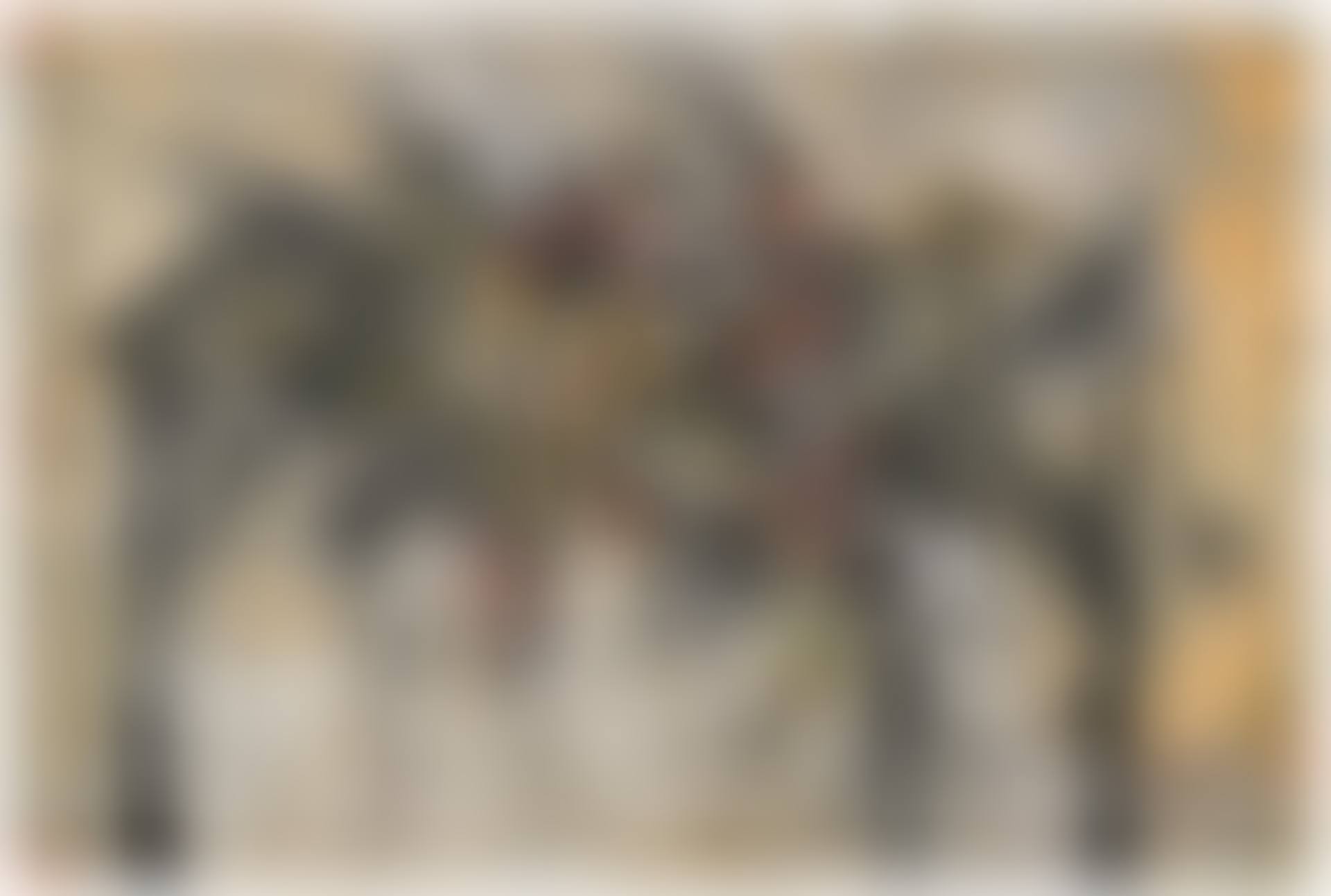 CAP I POTA (preview)