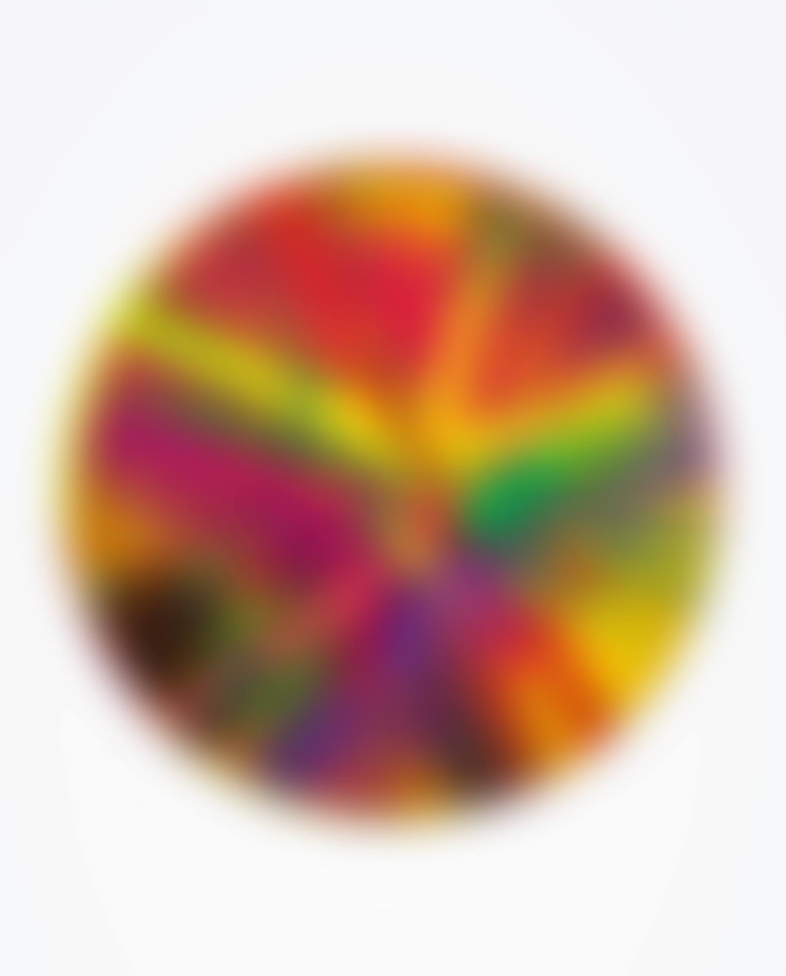 BEAUTIFUL LATE SPIN PAINTING (preview)