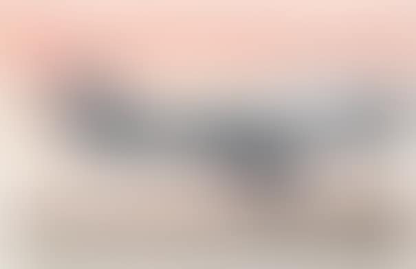 Düsenjäger (preview)