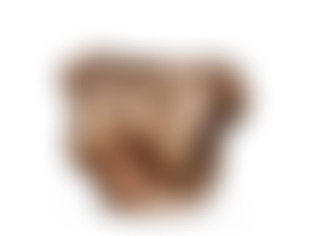 UNTITLED [SANS TITRE] (preview)