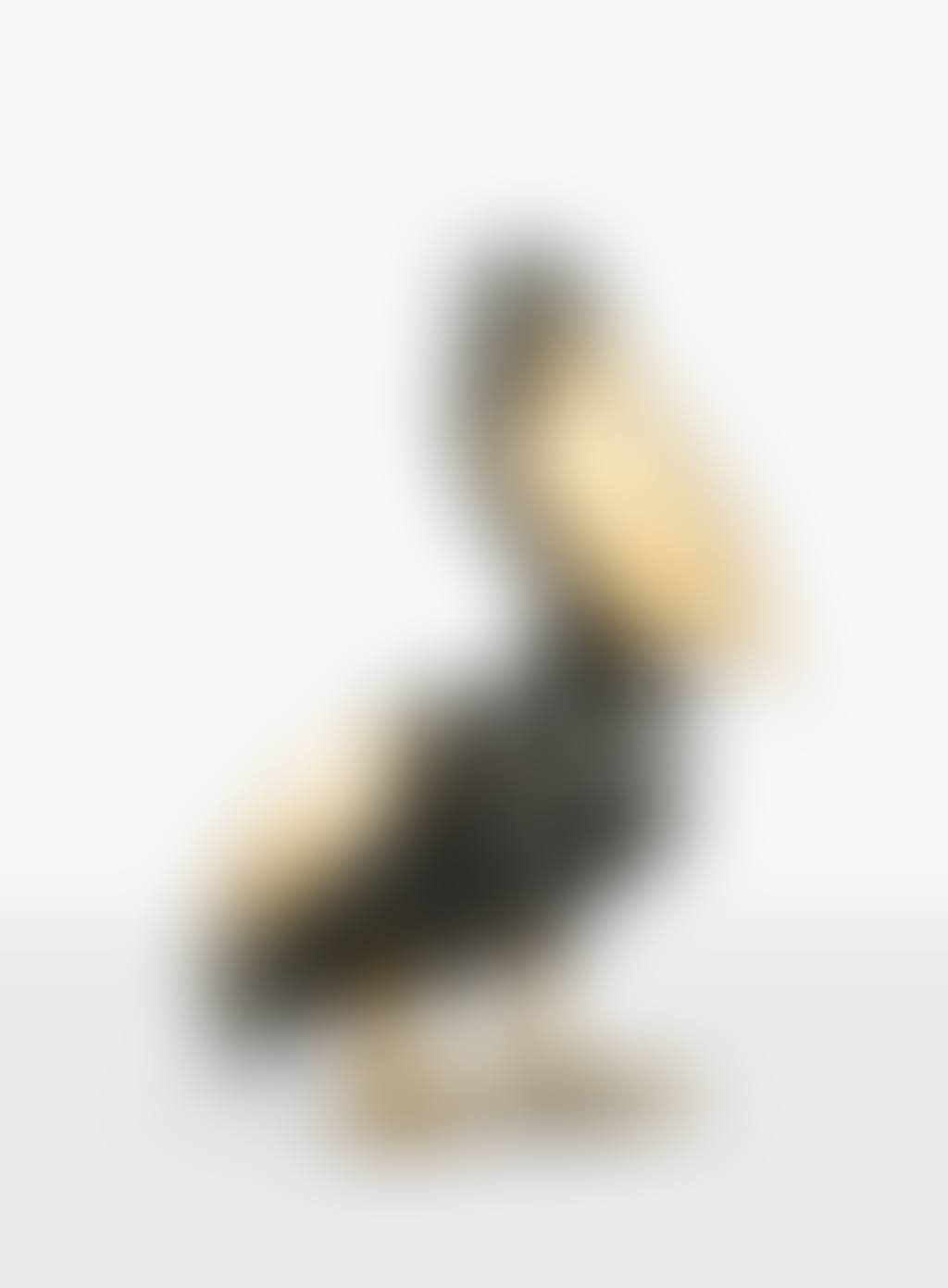 PELICAN (preview)