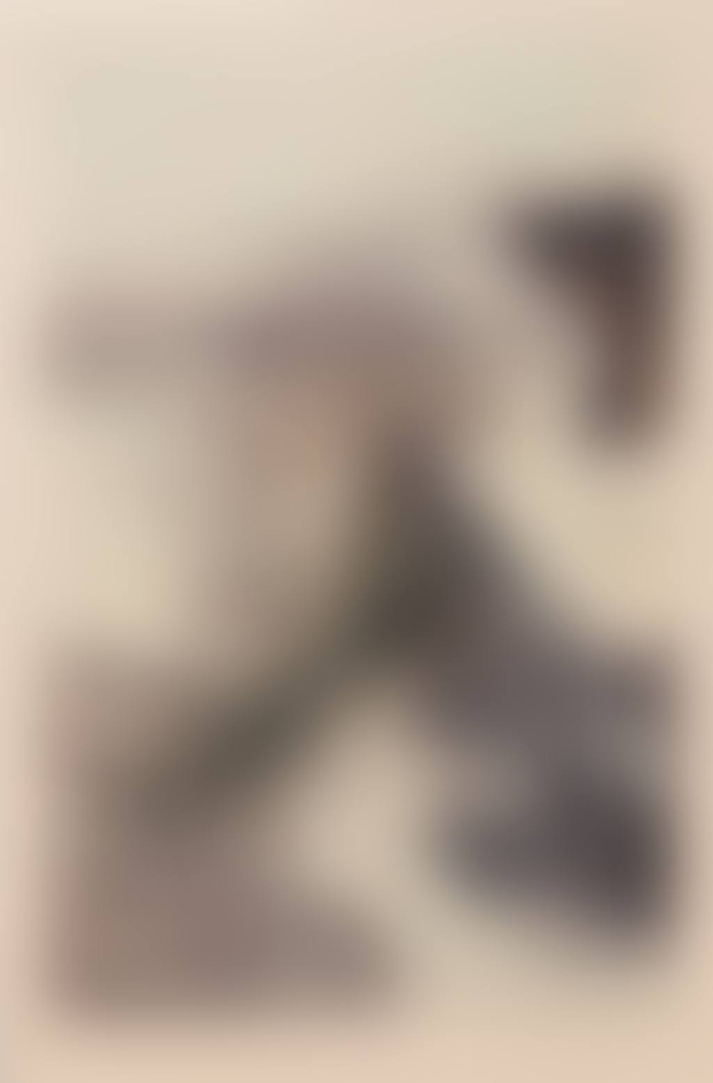 UNTITLED [SANS TITRE] (preview)