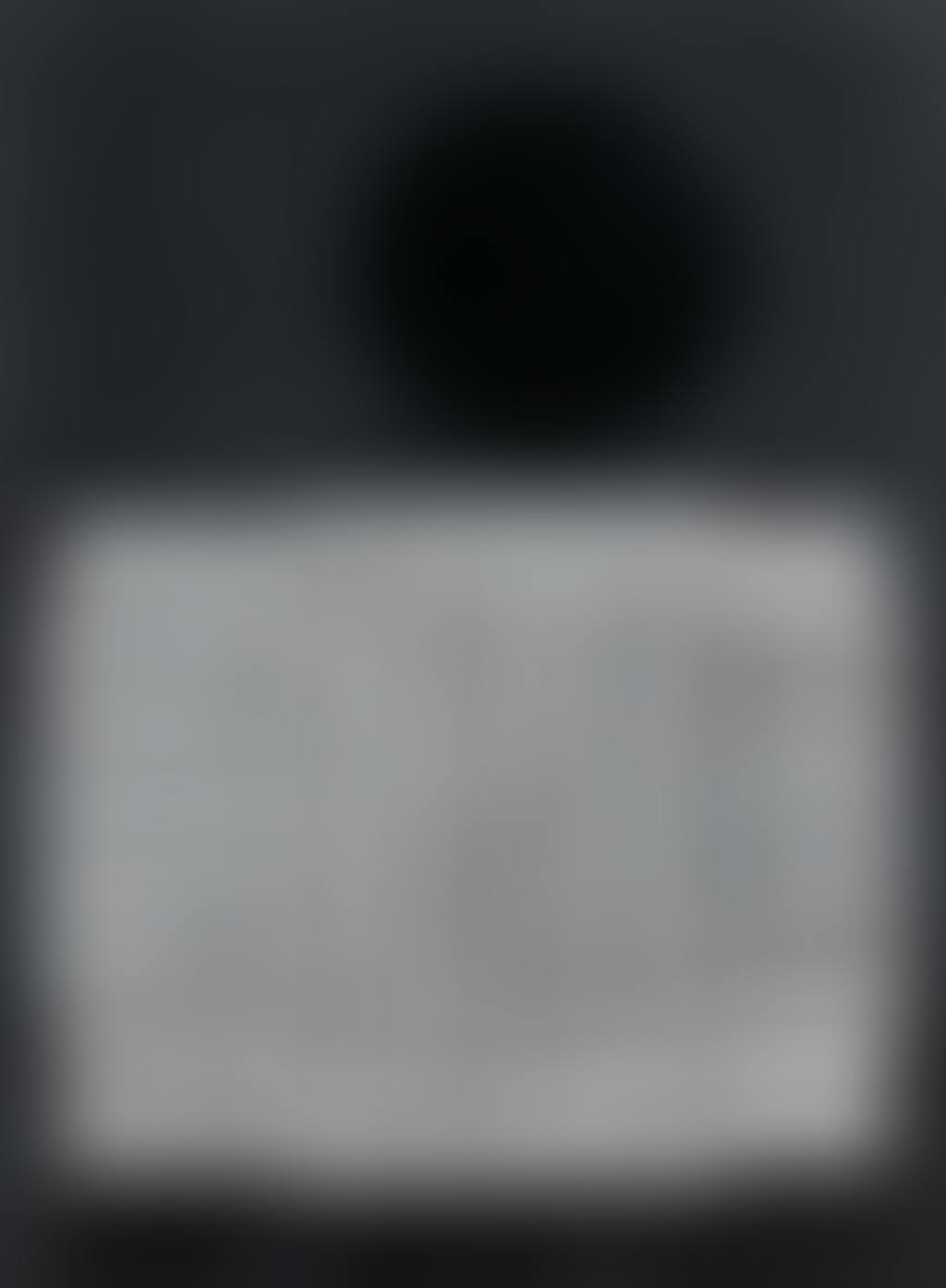 UNTITLED [SANS TITRE] (preview)