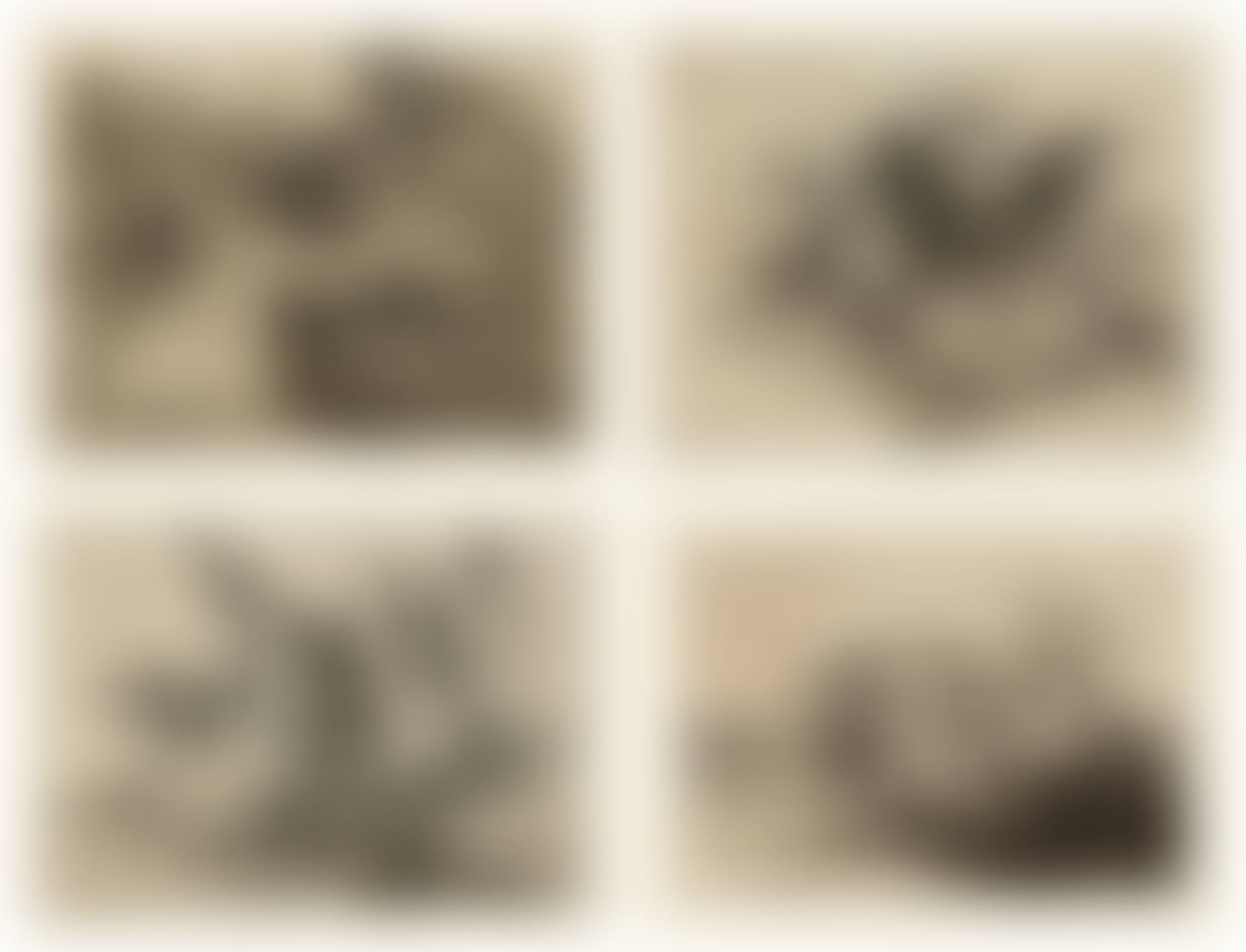 Los Desastres de la Guerra (preview)
