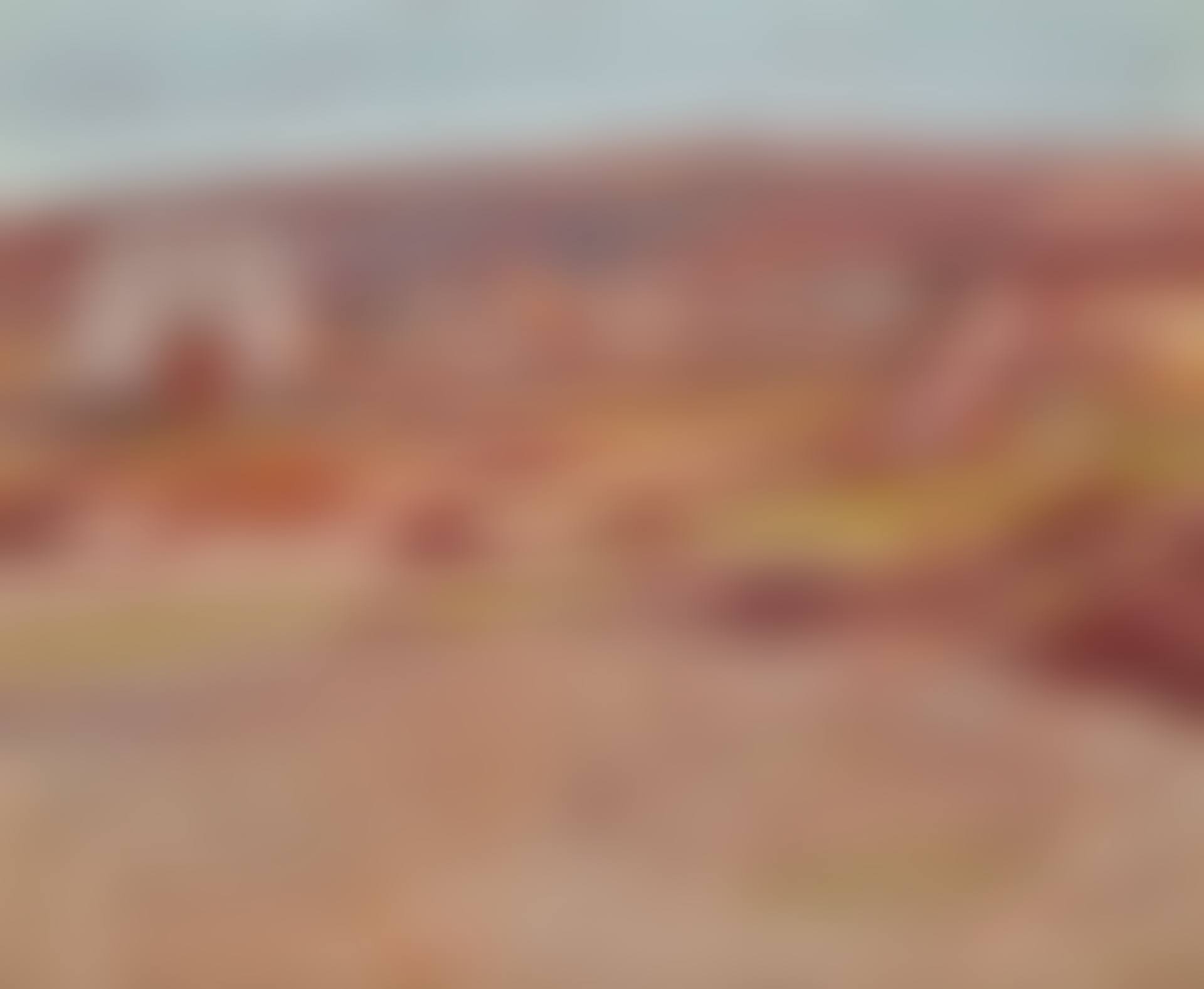 SCENE IN PALESTINE (preview)