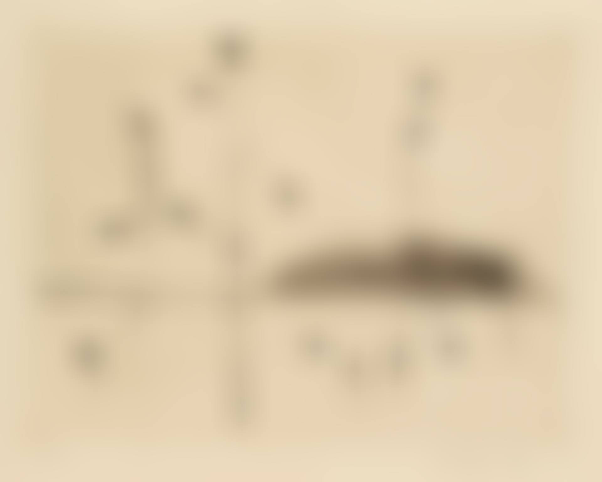 MICROCOSMOS (PLANT CYCLE) (L. 39) (preview)