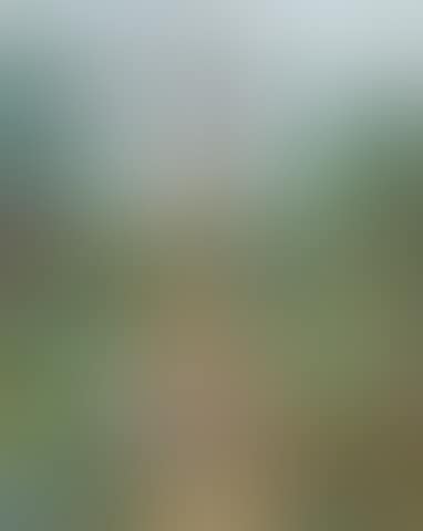 Cyprus Garden (preview)