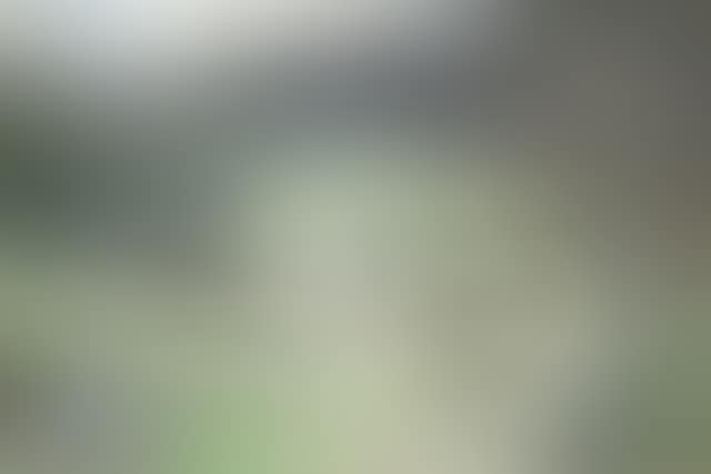 A hillside farm bathed in sunlight (preview)