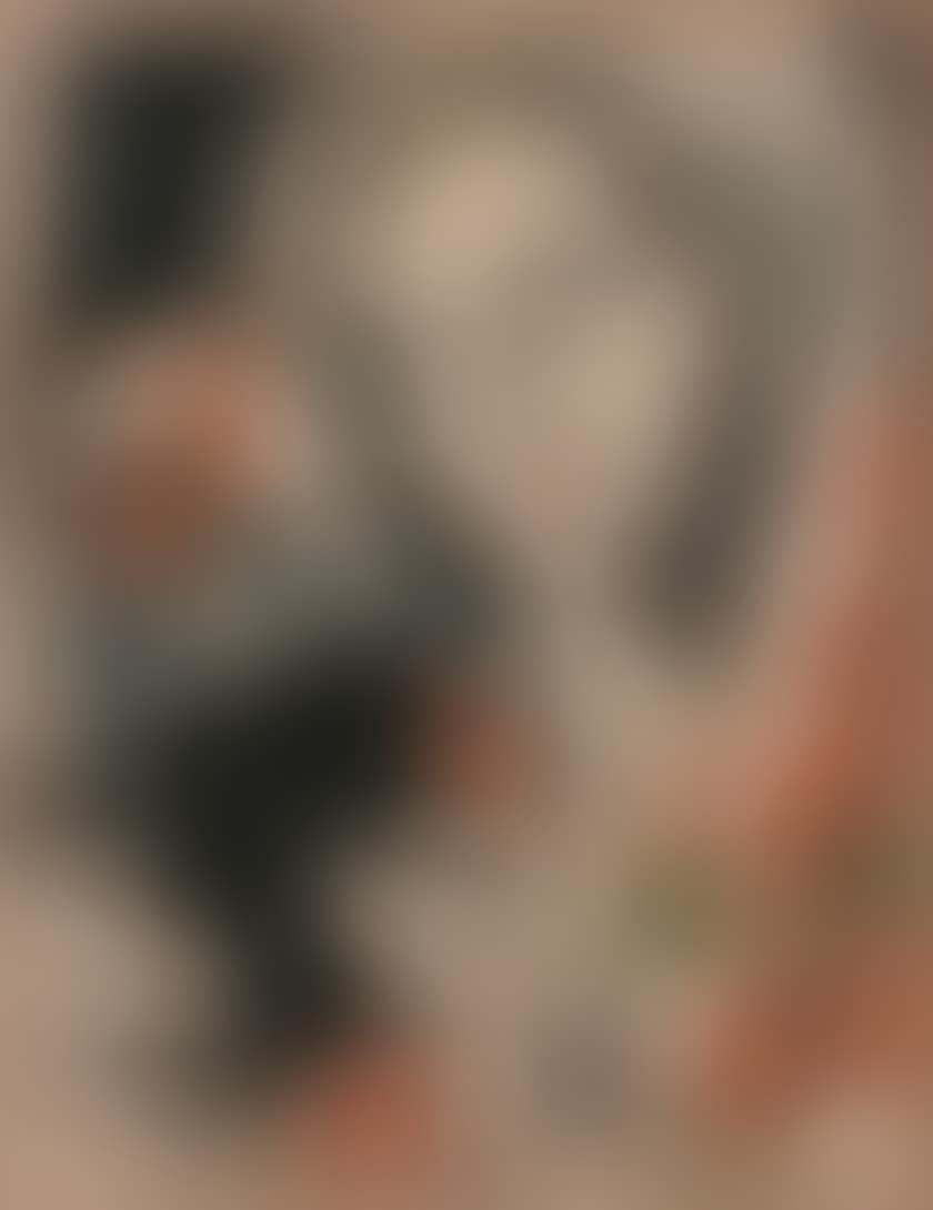The Polish (preview)