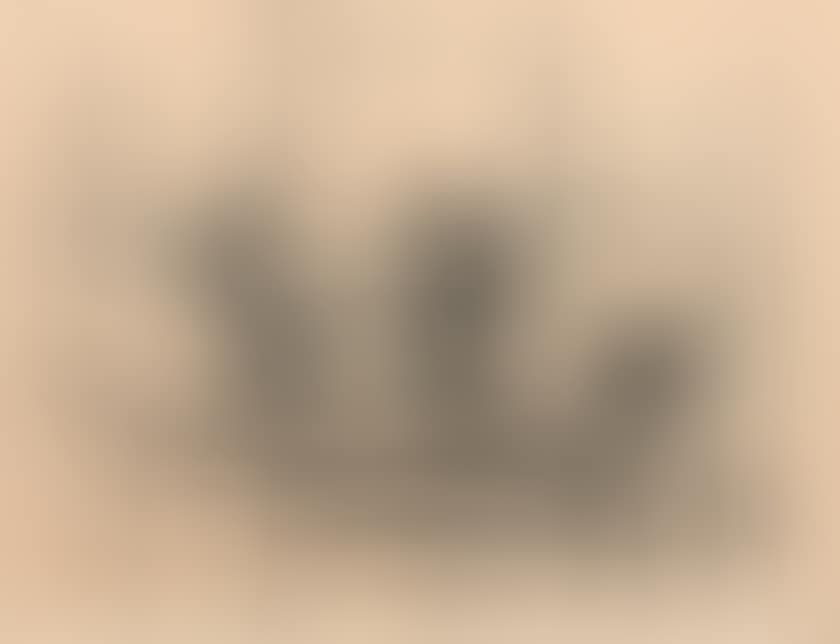 Still life with crab (preview)