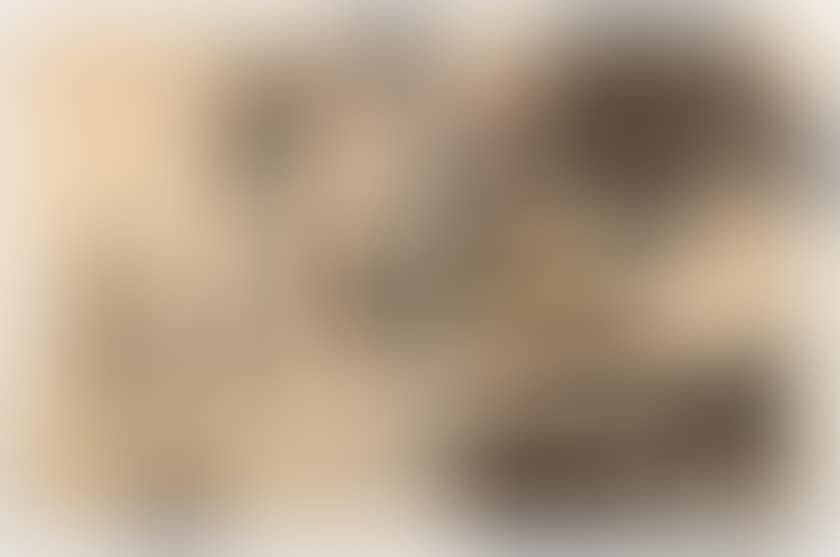 PART OF CAMPAIGN (preview)