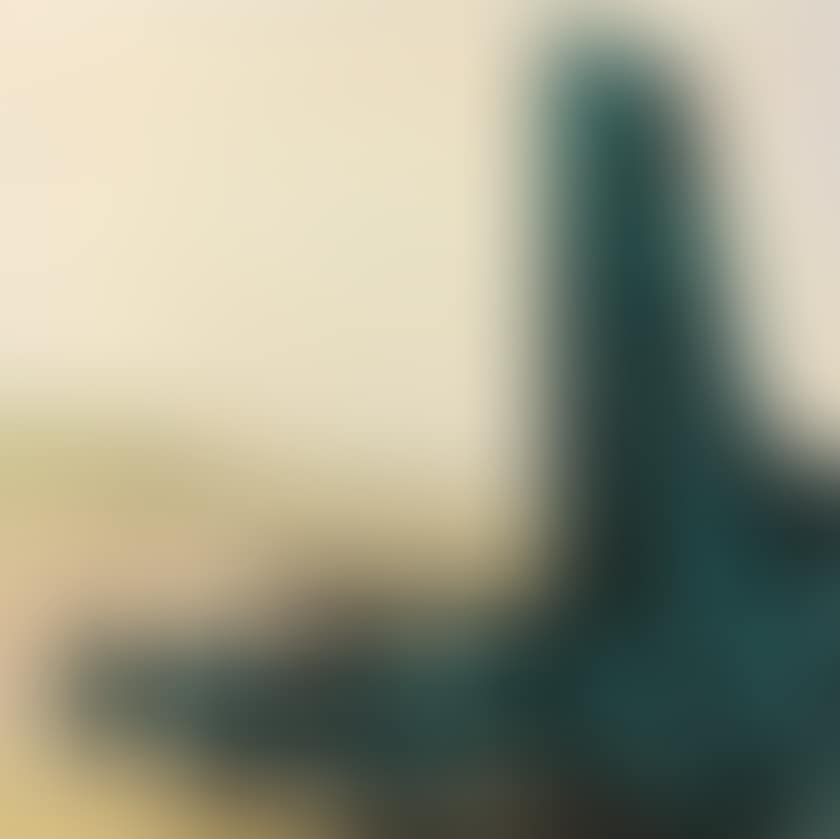 THOSE WHO COME (preview)