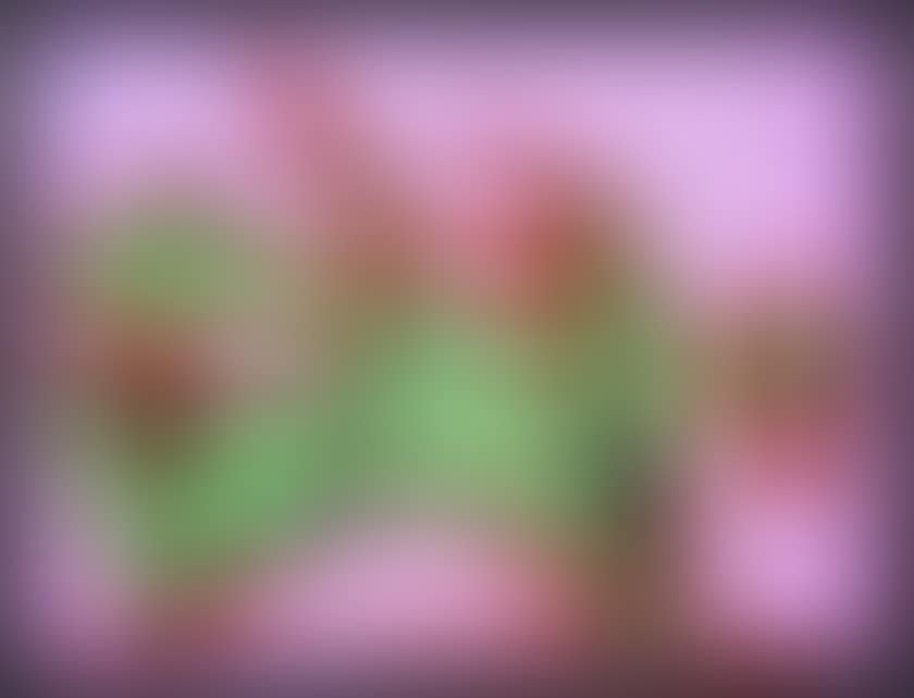 THE VOICE (preview)
