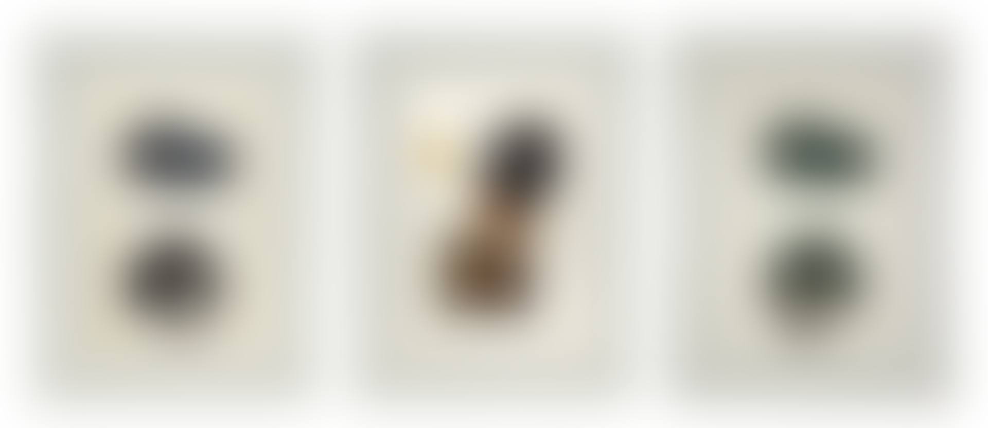 BLACK GEM (preview)