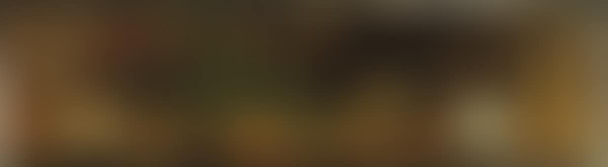 Untitled (mexican Bullfight) (preview)