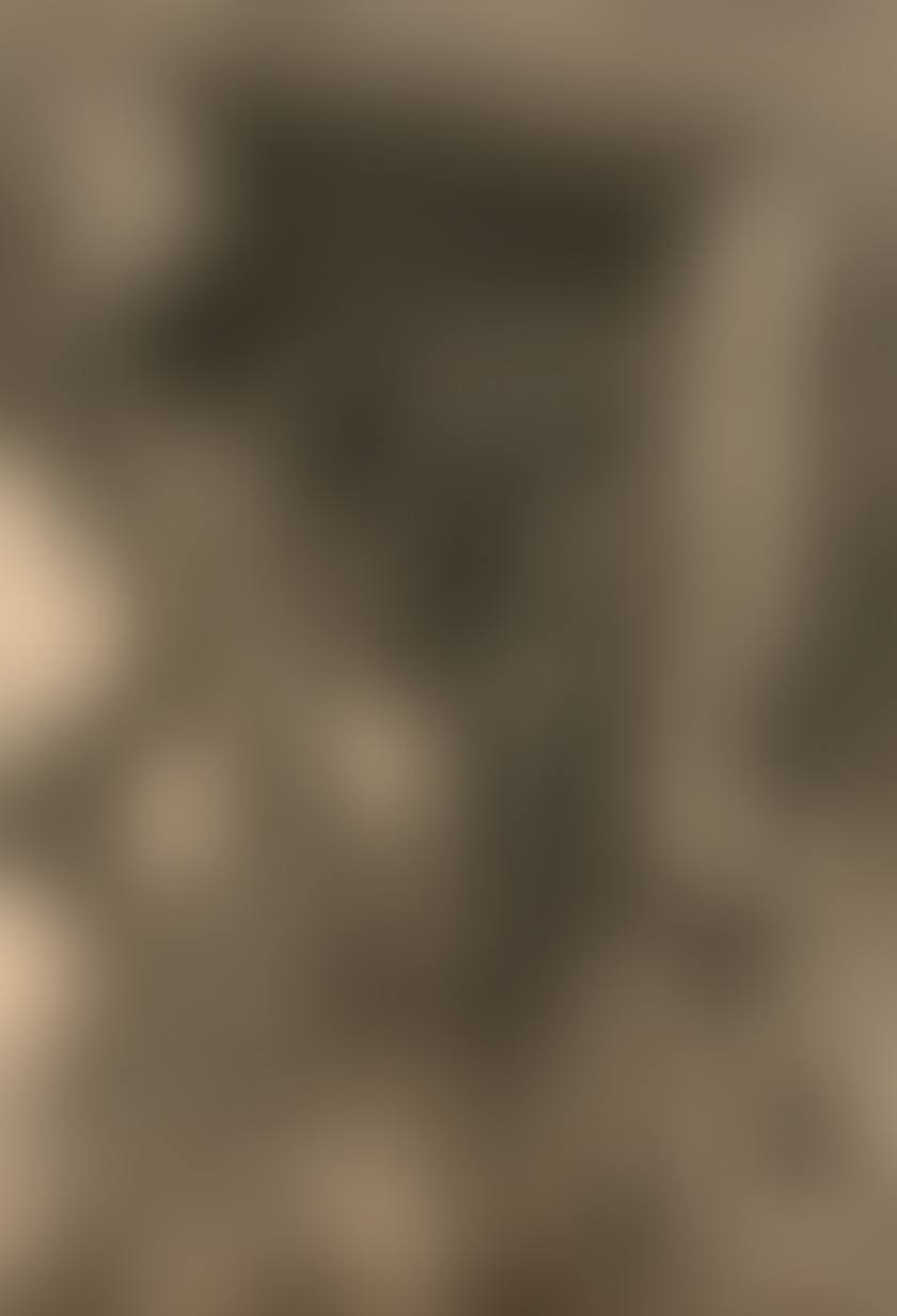 Hangman at the bell, study for "The Legend of Ulenspiegel" (preview)
