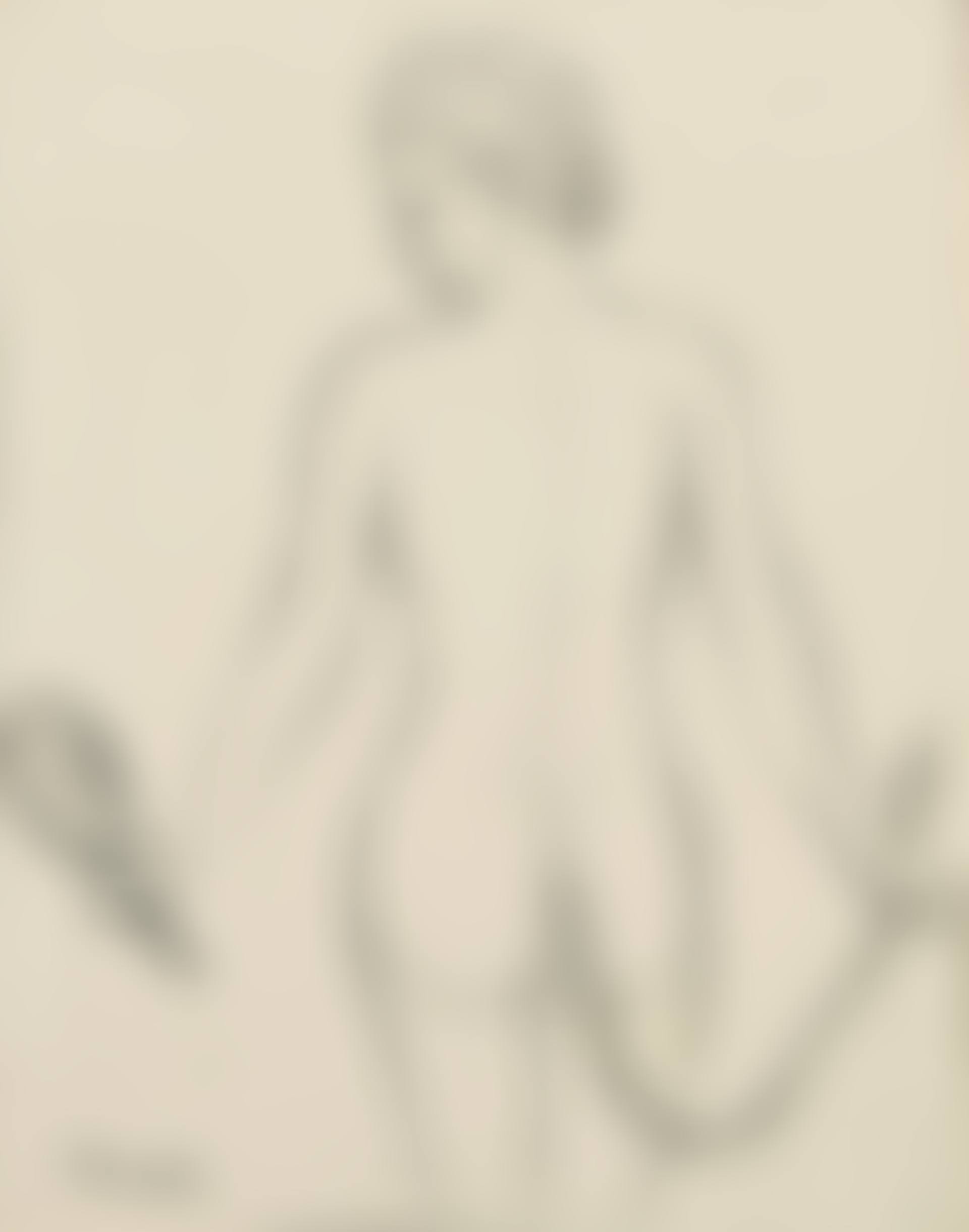 L'Aiguillon (preview)