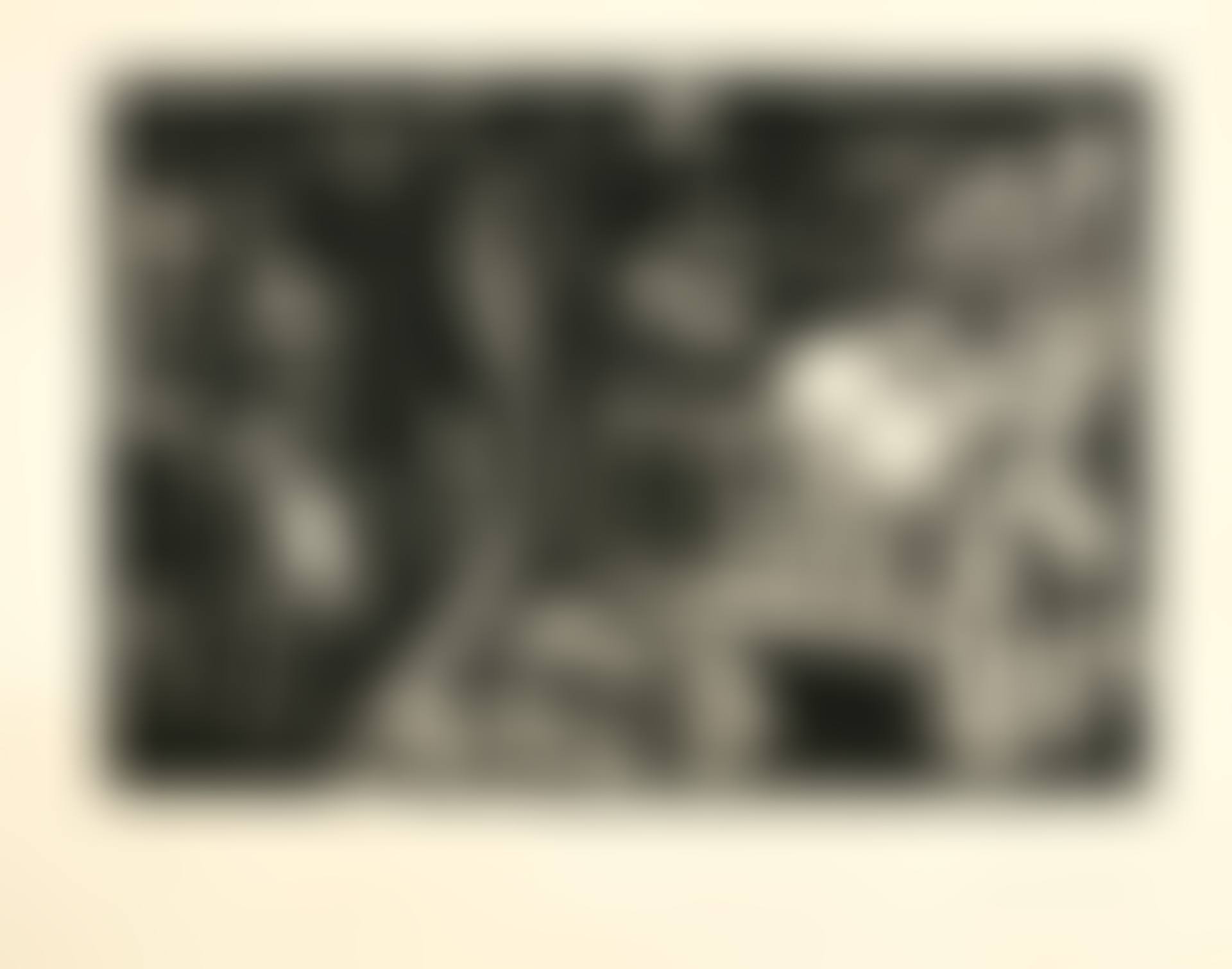 AU THÉÂTRE: LE CLYSTÈRE; AND LE COCU ASSISTANT À LA COMPARUTION, DEVANT L'INQUISITION, D'UNE FEMME NUE ENCHAÎNÉE PAR UN BOURREAU (B. 1249, 1252; BA. 1437, 1440) (preview)