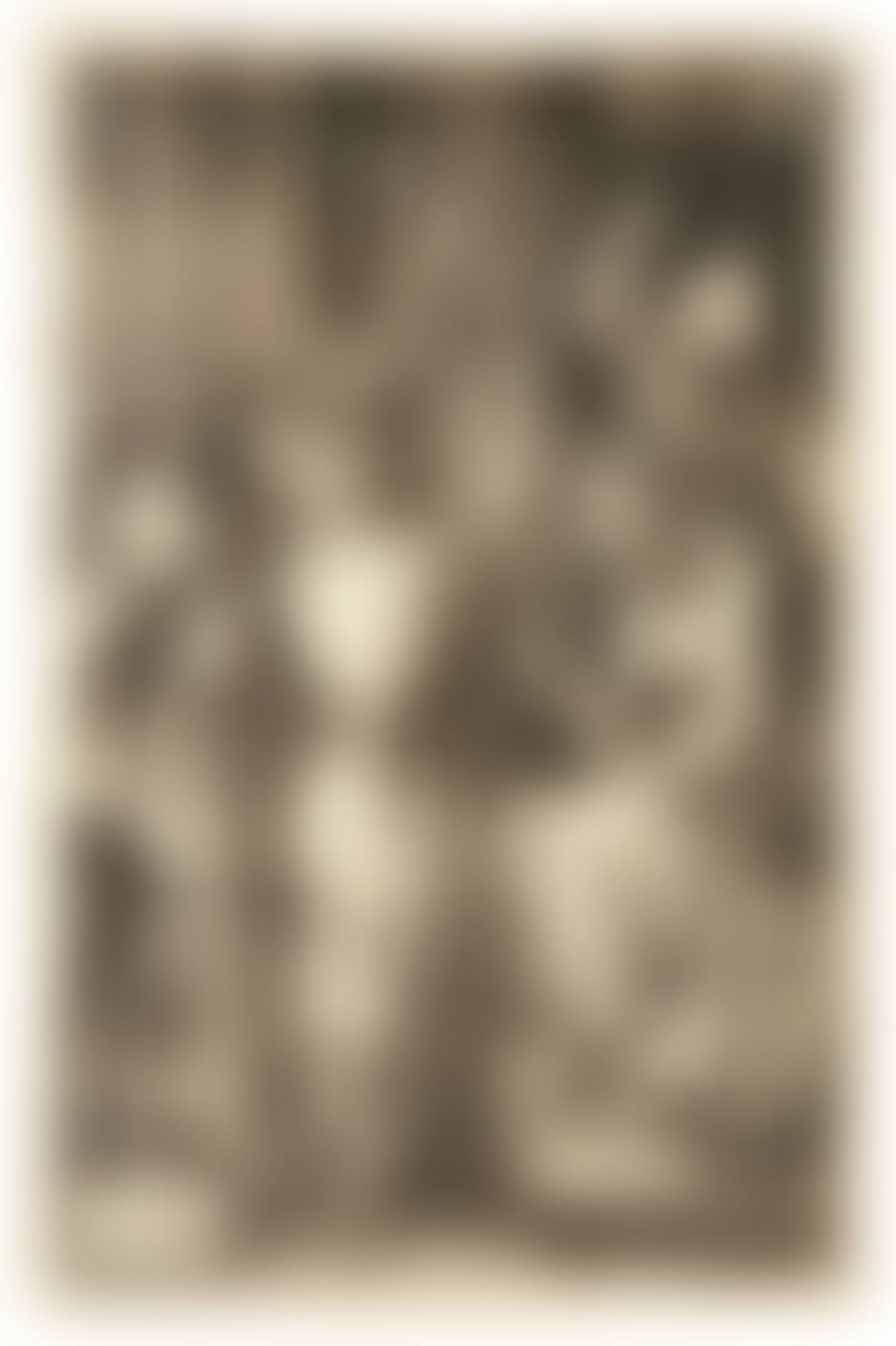 CHRIST CROWNED WITH THORNS (B., M., HOLL. 9) (preview)