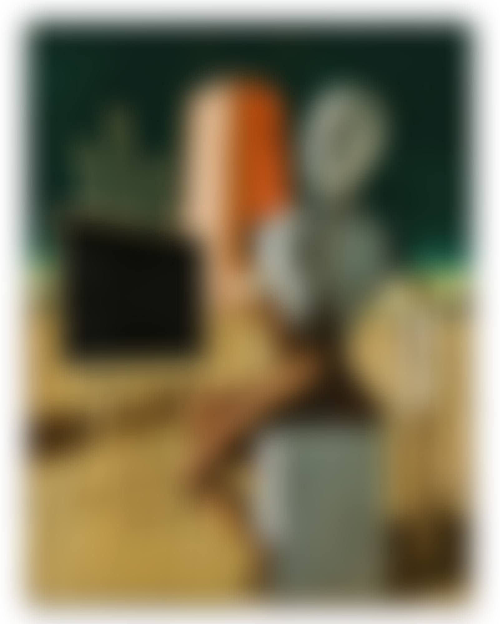 IL VATICINATORE (preview)