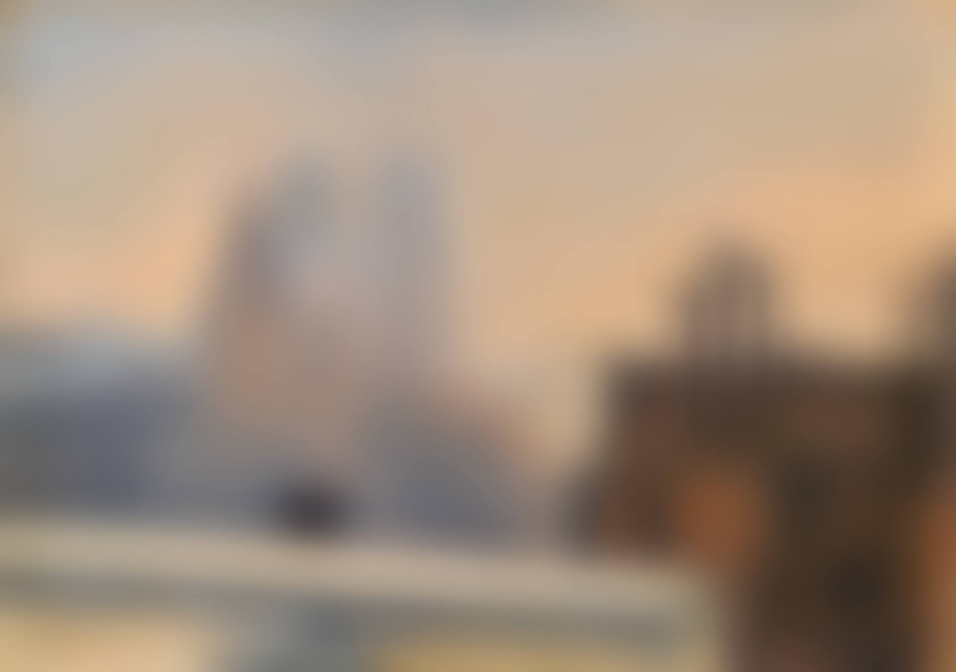 TOITS DE PARIS (preview)