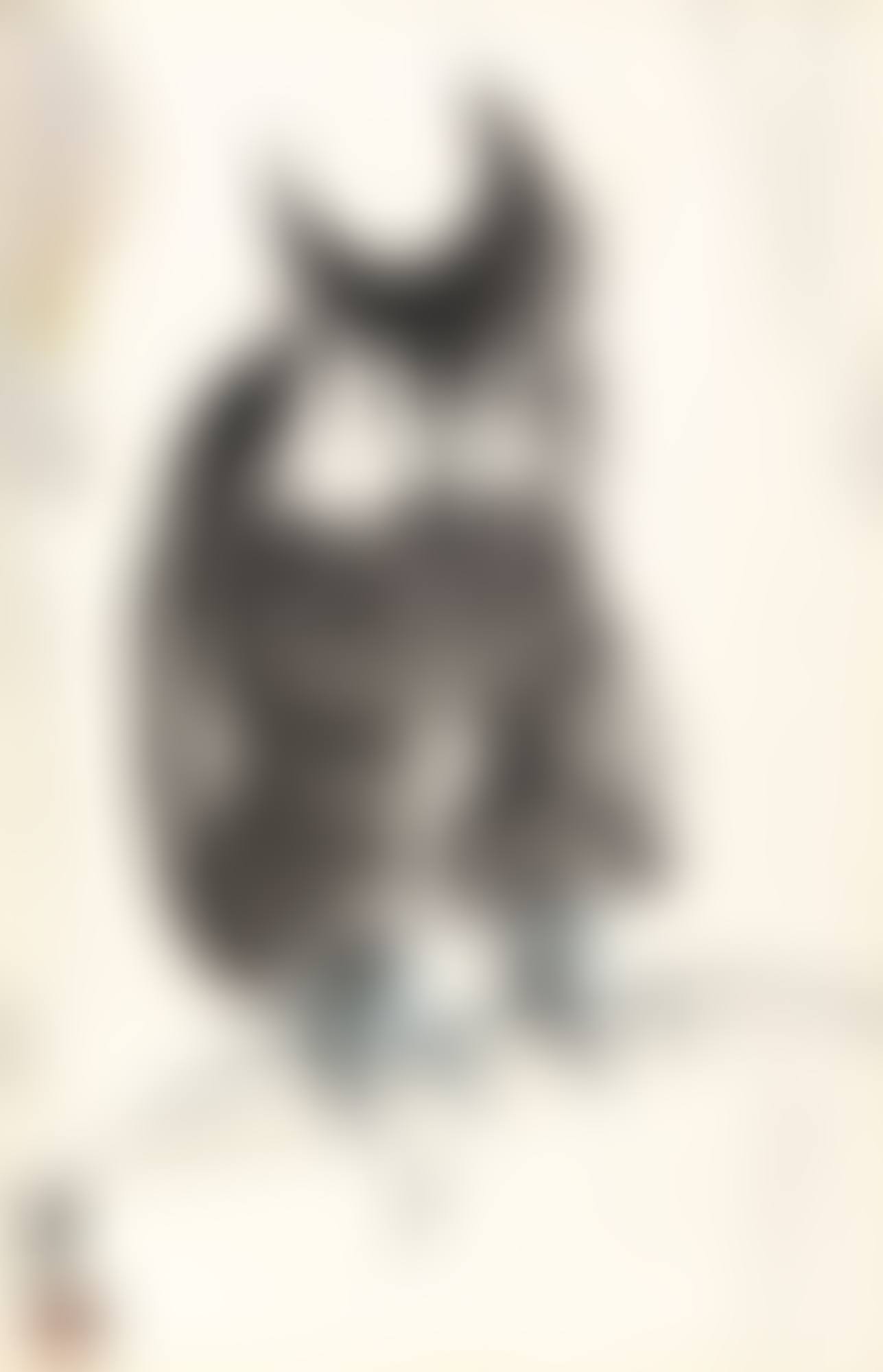 OWL (preview)
