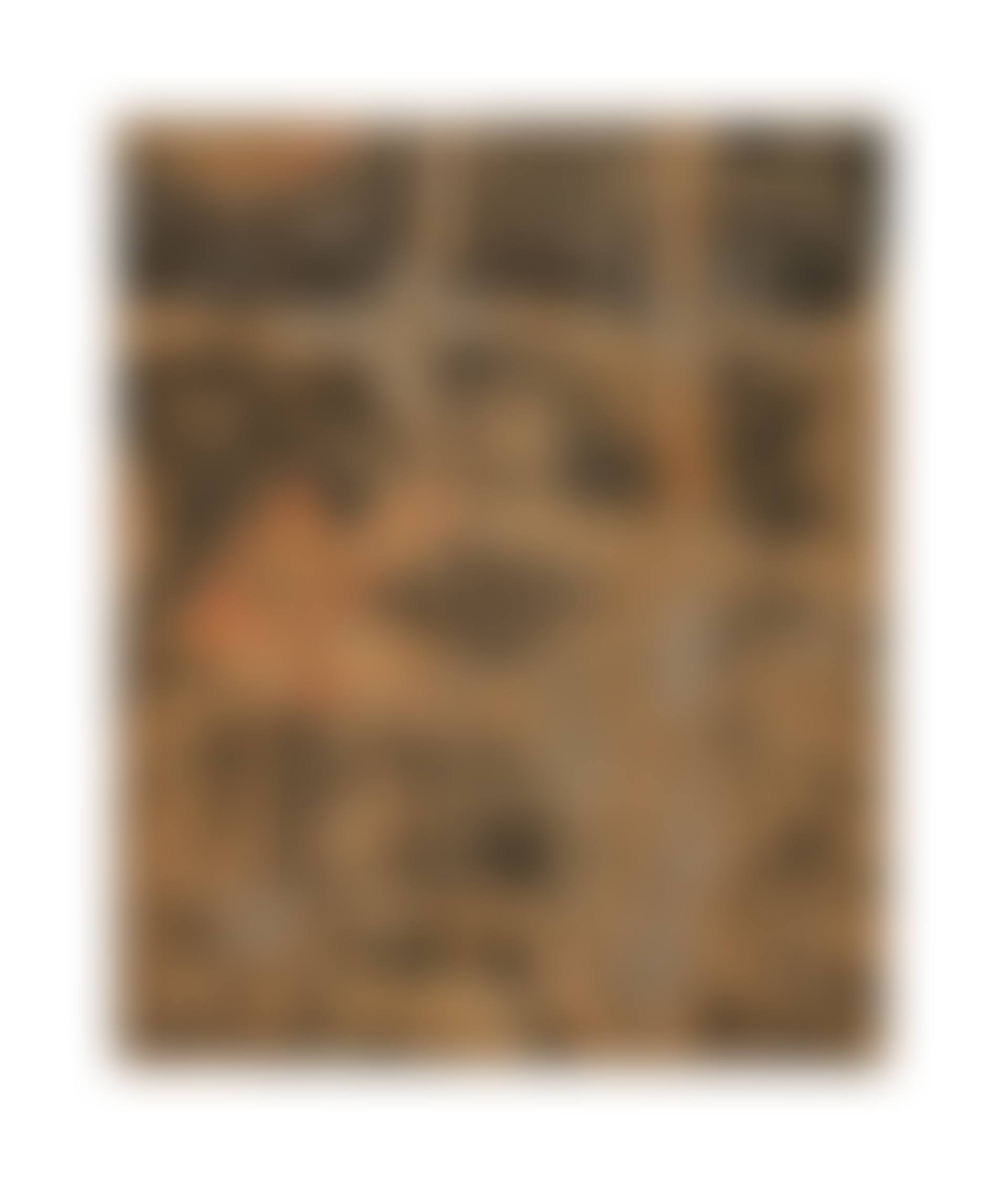 Untitled (preview)