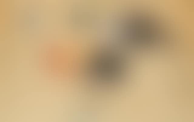 Rooster (preview)