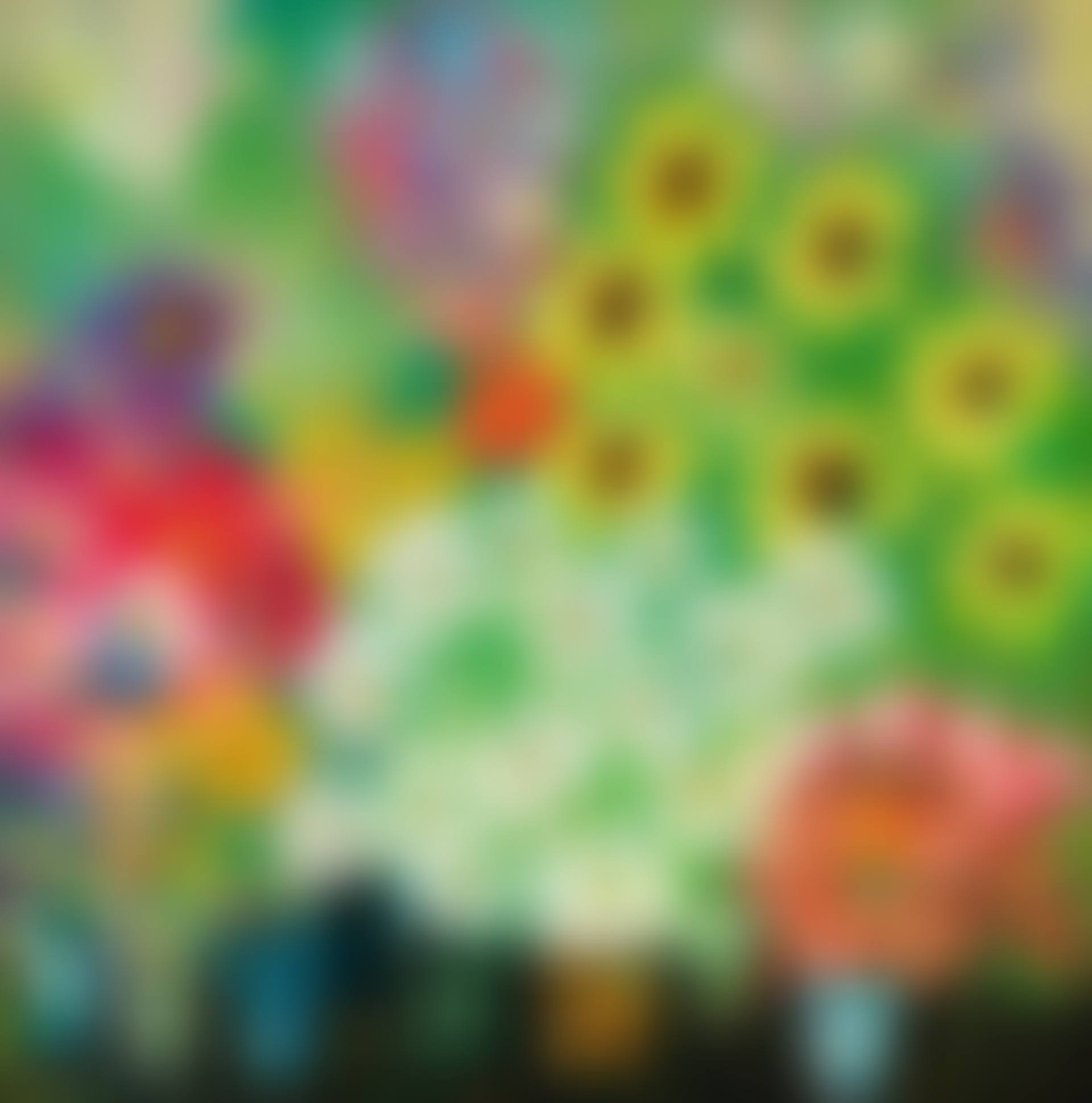 BLOOMING CHRYSANTHEMUMS (preview)