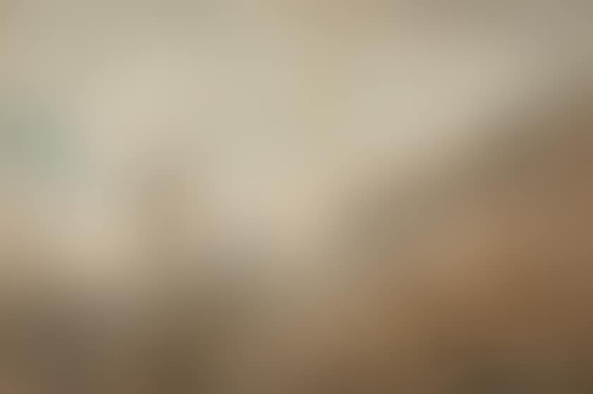 The large gallery of Palmyra (preview)