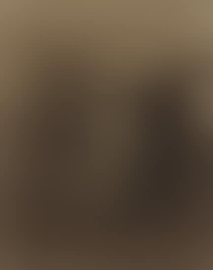Brooklyn Bridge (preview)