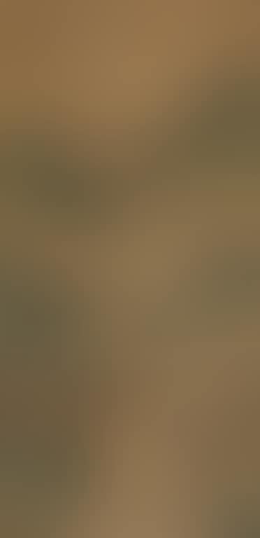 Landscape (preview)