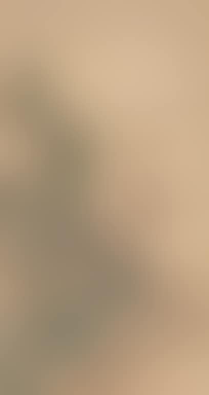 Landscape (preview)