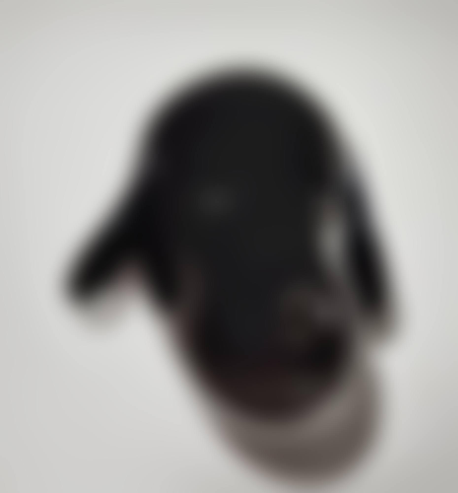 BIG PUP HEAD (preview)