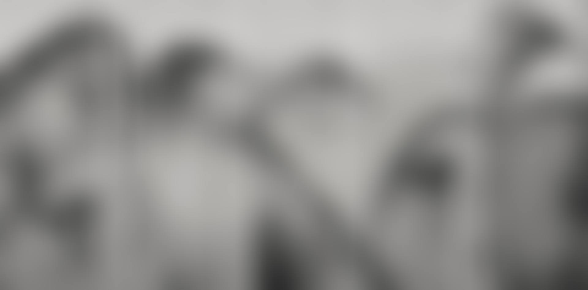LANDSCAPE SERIES (preview)