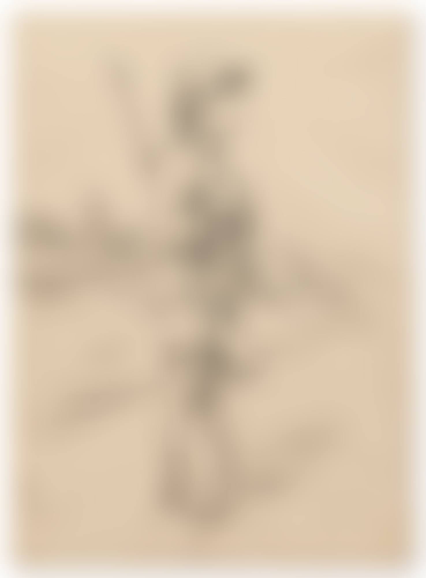 SOLDIER (preview)