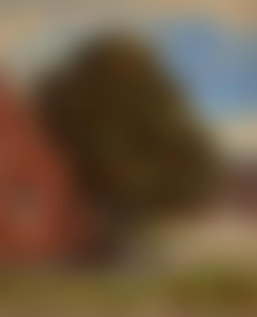 The courtyard of Boller Manor (preview)