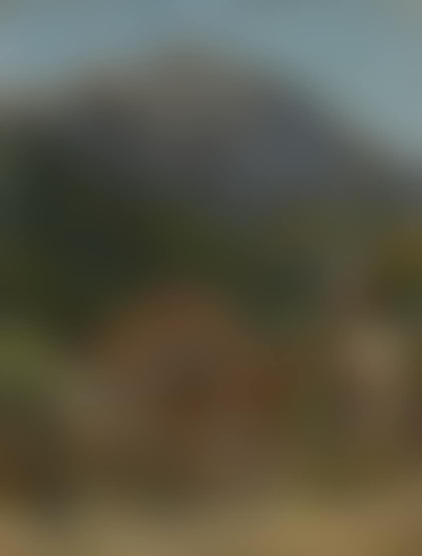 Man with a wheelbarrow in front of an alpine massif (preview)
