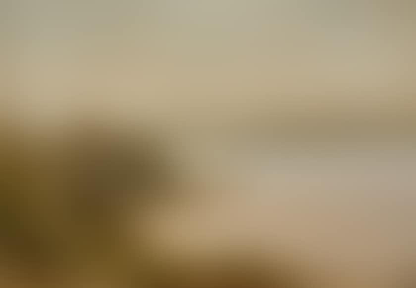View of a lake in Denmark (preview)