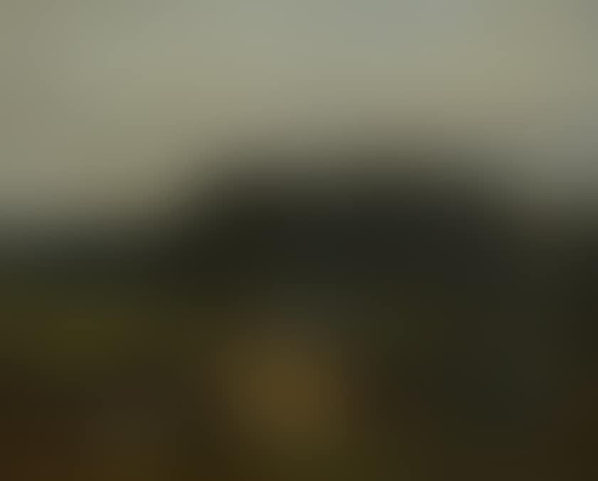 Farm near a wood at dusk (preview)