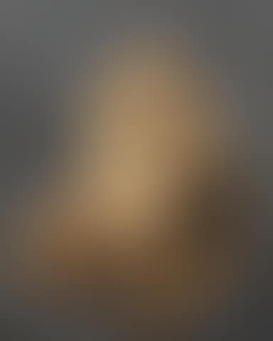A skull with a snake; and The underside of a skull with other bones (preview)