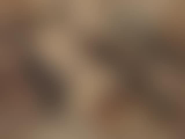 A myth (preview)