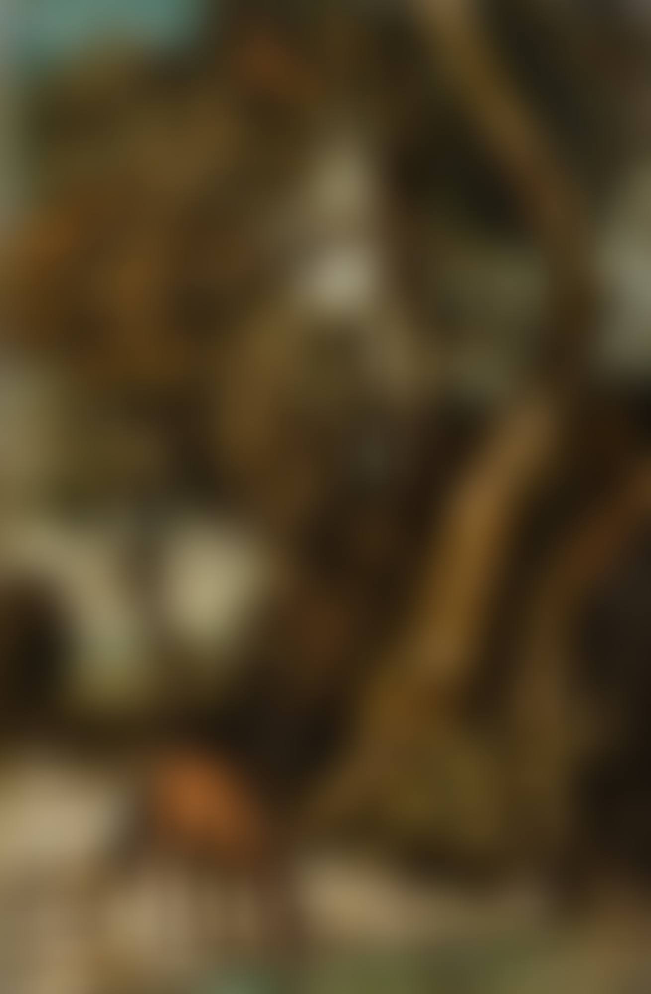 CAVALLO ALLA FONTE (preview)