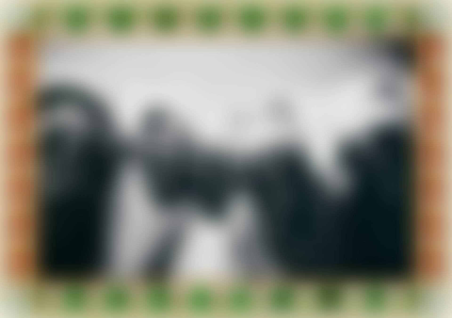 LV POSSE (preview)