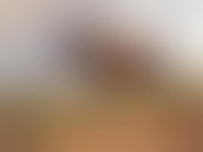 Cattle and sheep in a meadow in a vast landscape (preview)