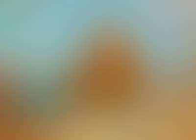 “Gelbe Segel” [Yellow sails] (preview)