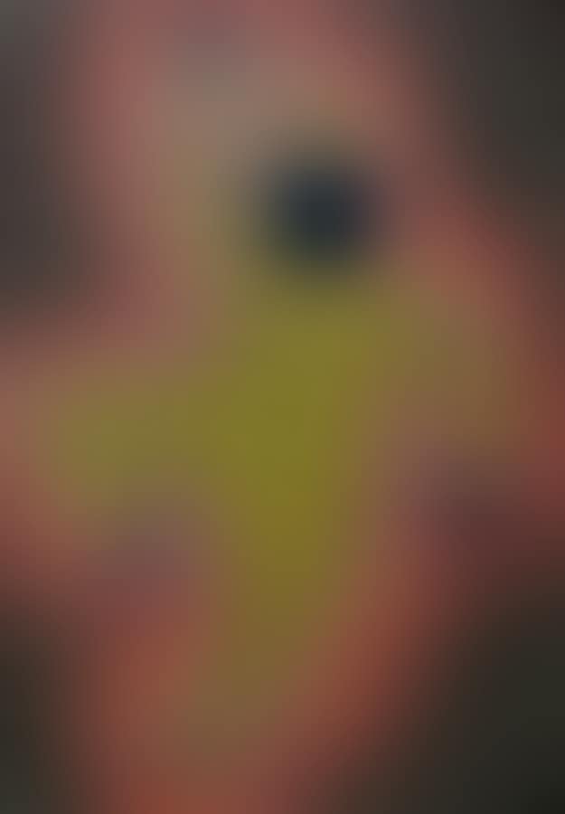 Harlequin (preview)