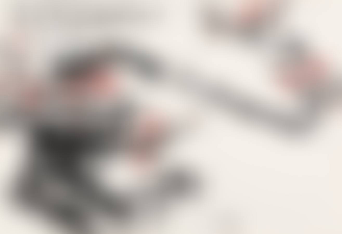 Plum Blossom (preview)