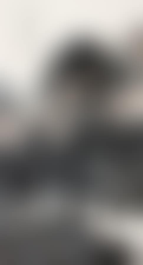 Landscape (preview)